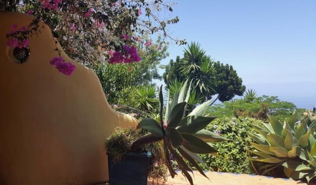 Luna - Finca Manana Лос-Льянос-де-Аридане Экстерьер фото